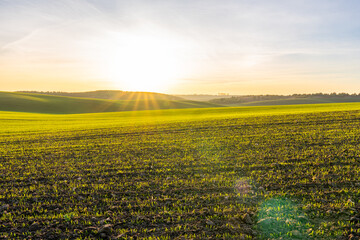 Sunlight Shining Over Green Fields