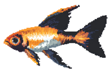 Pixel art goldfish isolated on transparent background.
