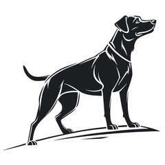 Black and white dog silhouette