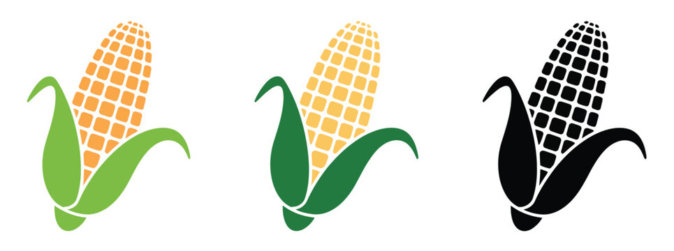 Ear of corn representing abundance and freshness, vibrant agricultural food concept