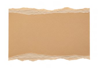 Torn brown cardboard texture with rough edges and blank space isolated on transparent background
