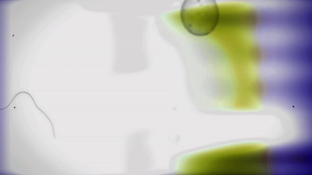 flash light effect transitions film scratches with grain 