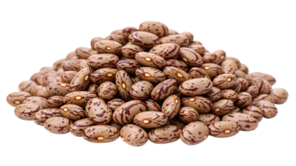 Rustic Legume Plant ready for Harvest Concept