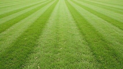 Obraz premium Freshly cut green grass with distinct mowing stripes creating a natural, textured pattern, perfect for outdoor backgrounds.