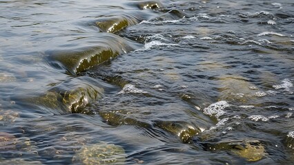 Captivating close-up of crystal-clear river water gently flowing over smooth, submerged rocks, showcasing nature's tranquil movement and serene beauty in a shallow stream