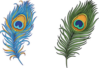 Obraz premium Peacock feather illustration set, colorful artistic and natural bird plumage design, decorative exotic vector artwork, isolated on white background