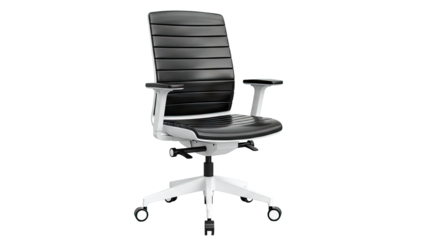 Modern Black and White Ergonomic Office Chair