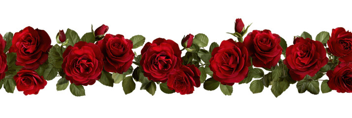Crimson Roses Border: A decorative border of vibrant crimson roses blooms with lush green foliage, forming an elegant and captivating design. 