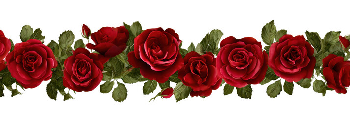 Crimson Rose Border: A captivating display of vibrant red roses blossoms in a row, with verdant green leaves. The perfect image for romance and aesthetic appeal.