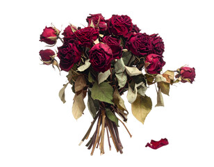 Dried Red Rose bouquet isolated on transparent png