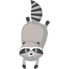 Funny raccoon cute animal vector character playing icon. Comic curious mascot emotion illustration isolated on white background