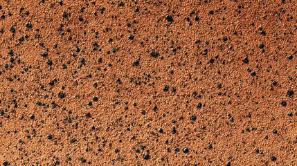 Close-up of rough, reddish-brown surface speckled with tiny, dark, rounded elements