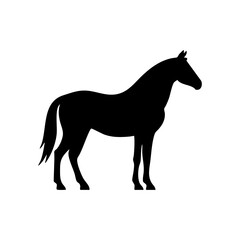 Fototapeta premium Black horse silhouette vector illustration isolated on white background. Side view of a standing horse icon for logo or graphic design.