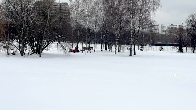 Russian folk entertainment - sledding with a horse