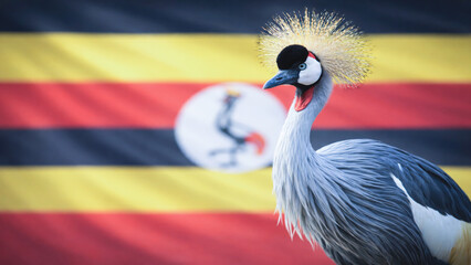 Uganda national bird, the grey crowned crane, in front of waving flag, cultural and wildlife symbolism.
