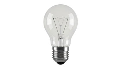 Clear Incandescent Light Bulb with Metal Base