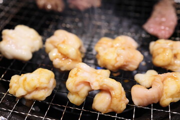 テッチャン（ホルモン）