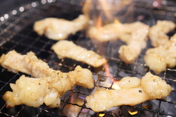 テッチャン（ホルモン）