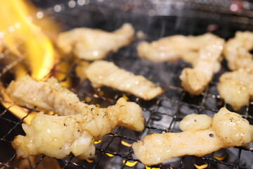 テッチャン（ホルモン）