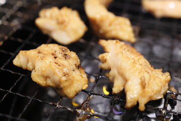 テッチャン（ホルモン）