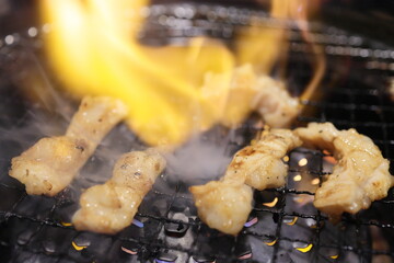 テッチャン（ホルモン）