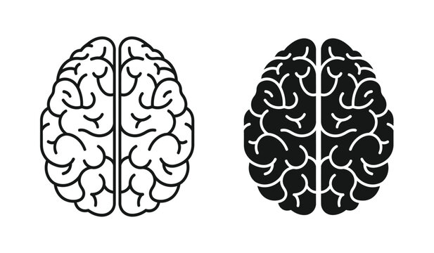 Black and white illustration of human brain hemispheres side by side