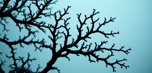 Obraz premium Intricate black coral branches, dark against a light background, colony, coral reef