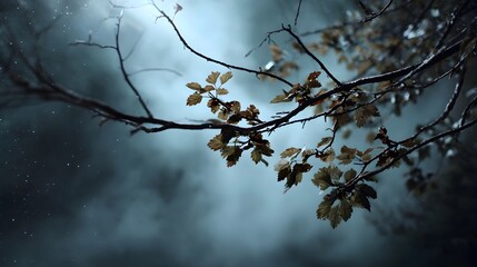 Dark atmospheric branches with sparse fading autumn leaves against a misty dark sky during twilight with subtle light effects