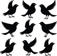 Obraz premium Stylized black bird silhouettes showcasing various wing positions on a clear white canvas