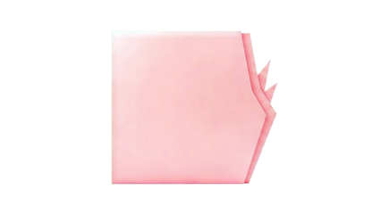 Abstract Coral Geometric Shapes