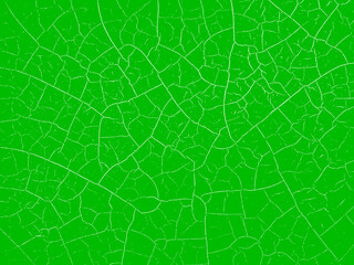 塗装やガラスなどのヒビや亀裂などのイメージの網状の画像素材　白線　緑／グリーン
