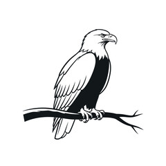 Fototapeta premium Majestic Eagle Sitting on Tree Branch Black Silhouette Illustration