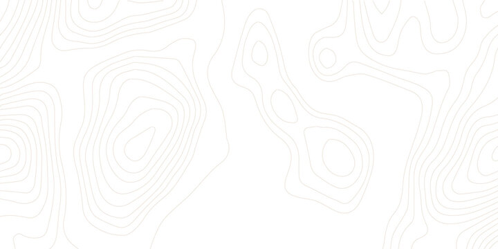 Topography background. Vector banner. Topography map background. Vector geographic contour map. Background of the topographic map. Topographic map lines, contour background.