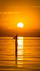 A serene sunset scene with a person wading in shallow water