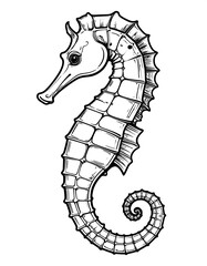 Line art of a seahorse, curled tail, and detailed dorsal fin, rendered in black and white