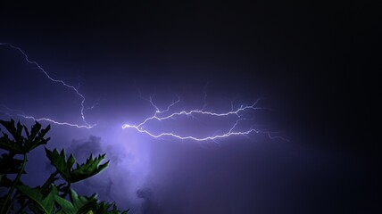 lightning strike branching across the dark night sky.