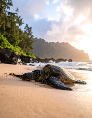 A sea turtle on a sandy beach at sunset with trees and mountains
