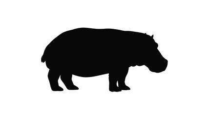 Fototapeta premium A striking black hippo form against a white background silhouette