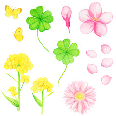 春の花と幸運モチーフの手描き水彩イラストセット（桜・菜の花・四葉・ガーベラ・蝶）/Spring Flowers and Lucky Motifs Hand Painted Watercolor Illustration Set