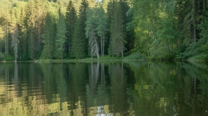 Obraz premium Serene forest lake with lush greenery reflecting on calm water surface