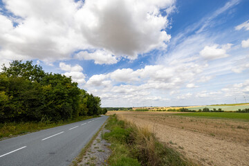 Trois-Puits, Reims, Marne, Grand-Est, France, August, 28th, 2025, Champagne Area, Serene rural pathway, Country road stretching into distance, Scenic country route bordered by vegetation and open sky