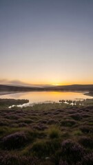 Fototapeta premium Serene sunset over a tranquil lake surrounded by lush greenery and vibrant purple heather in a peaceful natural landscape