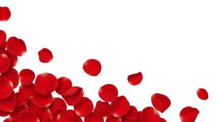Red blood cells isolated on transparent background