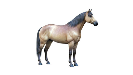 Obraz premium Brown Horse Standing Still