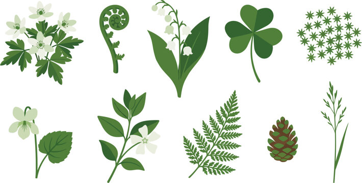 Delicate woodland spring floor botanicals flat vector pack with wood anemones fern fiddlehead lily of the valley oxalis leaf moss stars wild violet periwinkle lace leaf pinecone bud forest grass