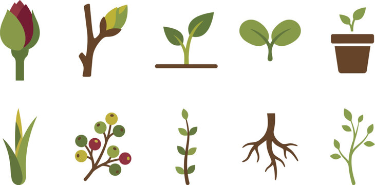 Botanical growth new life icons flat vector pack with closed flower bud leaf bud sprout breaking soil cotyledon leaves seedling pot green shoot emerging berries stem leaf nodes root structure