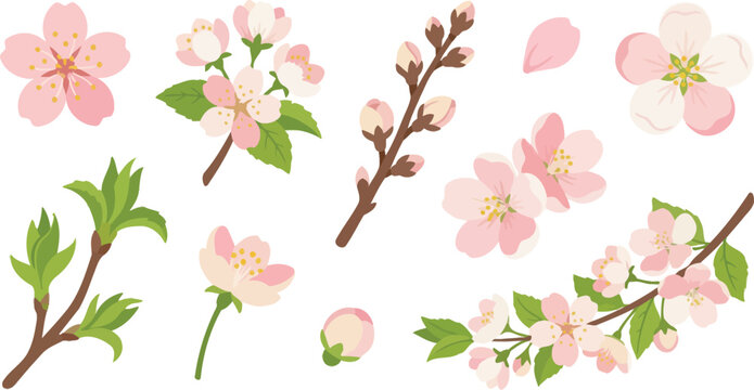 Delicate fruit blossom orchard botanical elements flat vector pack with cherry blossom five-petal flower branch clusters closed buds floating petal apple blossom stamen leaf shoots flowering bough
