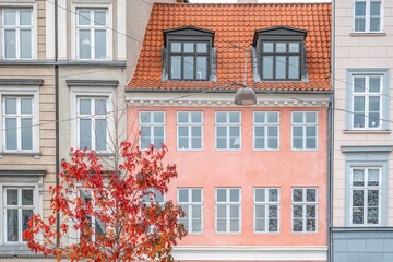 Naklejka premium Traditional Pink Building Facade with Autumn Tree, Copenhagen, Denmark