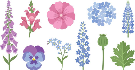 Traditional cottage garden botanical illustrations flat vector pack with foxglove spire snapdragon hollyhock hydrangea cluster lupine spike pansy flower forget-me-nots delphinium stem poppy seed pod © Madhuka Disanayaka