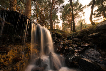 Salto de agua en el atardecer en bosque © Nacho